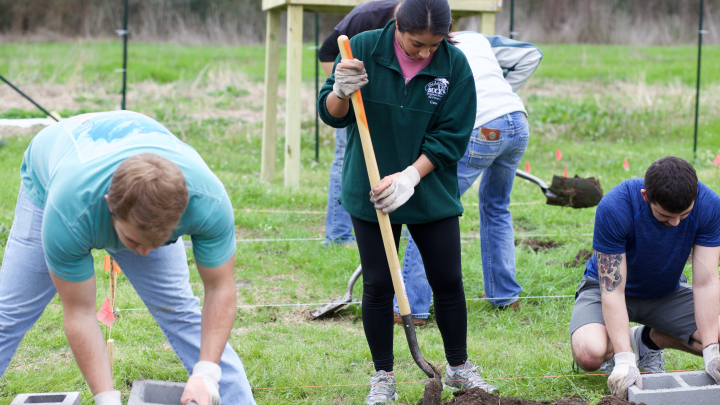 SHSU student volunteers build planter beds at the Bearkat Community Gardens located behind DC Holleman Field